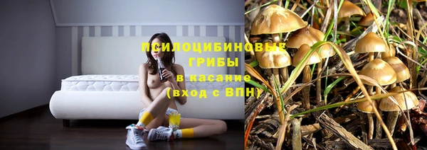 ГАЛЛЮЦИНОГЕННЫЕ ГРИБЫ Абаза